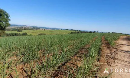 Fazenda à venda na Estrada João Moreira, 444, Centro, Capela do Alto