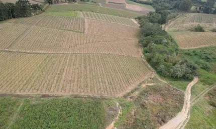 Chácara / sítio à venda na Sp-139, 55, Serra dos Touros, São Miguel Arcanjo