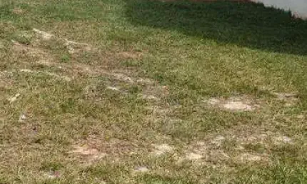 Terreno a venda no parque ibiti reserva em sorocaba/ sp