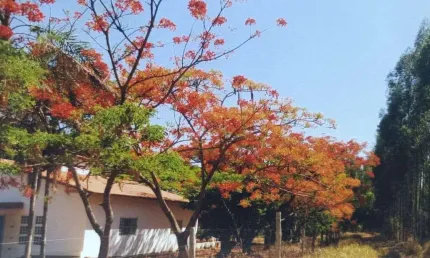 Fazenda à venda na Mg-188, 10, Centro, Unaí