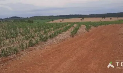 Excelente fazenda em cana à venda na região de Tatuí/SP