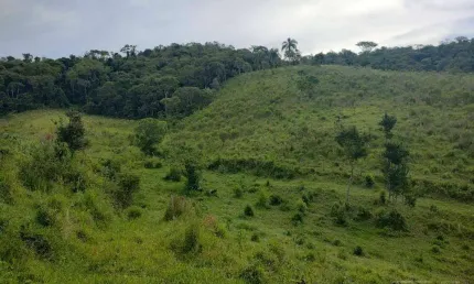 Sítio à venda, 193 m² por R$ 477.000,00 - Centro - Capão Bonito/SP