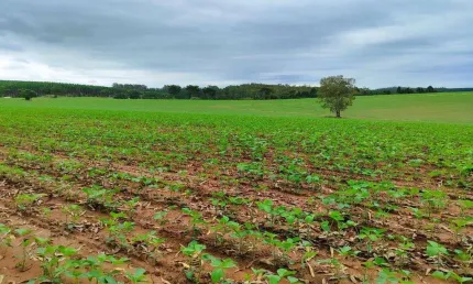 Fazenda à venda, 1282 m² por r$ 15.500.000,00 - centro - itapetininga/sp