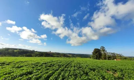 EXCELENTE SÍTIO A VENDA NA REGIÃO DE ITAPETININGA-SP