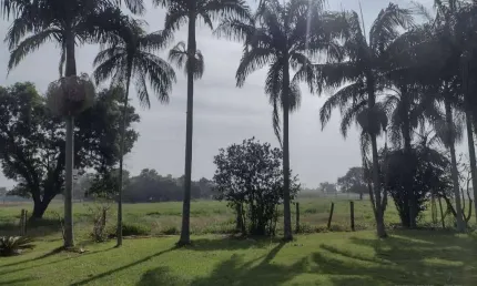 Chácara / sítio à venda na Rua Saldanha Marinho, 14, Centro, Itapetininga