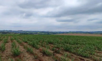 Fazenda à venda na Rua Nova Escócia, 52, Vila Barth, Itapetininga