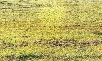 Terreno á venda no Condomínio Residencial Saint Patrick em, Sorocaba/SP