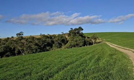 Fazenda 1161600 m² á venda na região de itapetininga sp