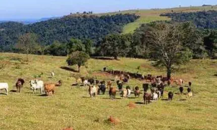 Fazenda 2879800 m² á venda na região de Botucatu SP
