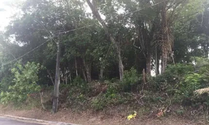 Terreno à venda na Avenida Sócrates Bonfim, 1538, Ponta Negra, Manaus por R$ 250.000