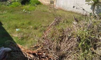 Terreno à venda no Jardim Primavera, Londrina 