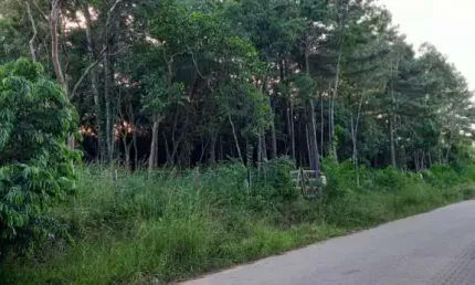 Terreno à venda na Rua Alberto Adolpho Fruchtenicht, 5, Campestre, São Leopoldo por R$ 132.000