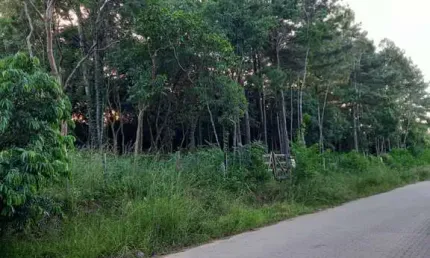 Terreno à venda na Rua Alberto Adolpho Fruchtenicht, 8, Campestre, São Leopoldo por R$ 137.000