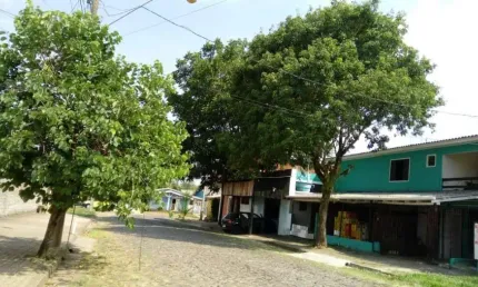 Casa com 6 quartos à venda na Rua Afonso Schafer, 66, Feitoria, São Leopoldo por R$ 848.000