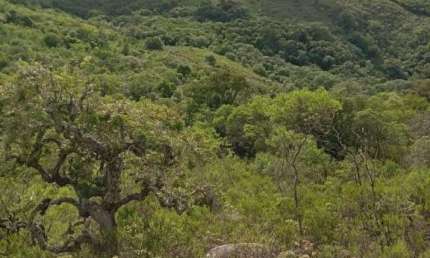 Terreno à venda na Serra Dos Rosa, 1, Zona Rural, Encruzilhada do Sul por R$ 381.600