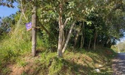 Terreno comercial para alugar na INTEGRACAO, 2814 - FEITORIA - SAO LEOPOLDO, 2814, Feitoria, São Leopoldo, 1464 m2 por R$ 1.000