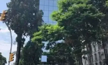 Sala comercial para alugar no Higienópolis, Porto Alegre 