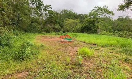 Chácara, area rural, pedro de toledo - r$ 100 mil, cod: 566