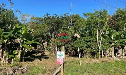 Chácara / sítio à venda na Avenida Coronel Raimundo Vasconcelos, 450, Centro, Itariri
