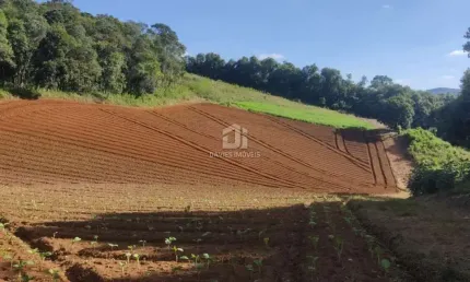 Chácara / sítio com 3 quartos à venda na rodovia antônio gasparin, 01, poço negro, colombo por r$ 1.490.000