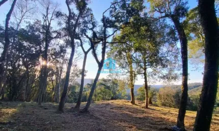 Chácara / sítio à venda na estrada são joão do povinho, 01, três córregos, campo largo por r$ 650.000
