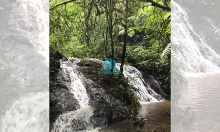 Chácara / sítio à venda na Estrada São João do Povinho, 01, Três Córregos, Campo Largo por R$ 650.000