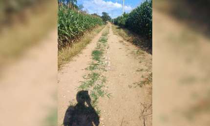 Chácara / sítio com 3 quartos à venda na Zona Rural, Contenda  por R$ 380.000