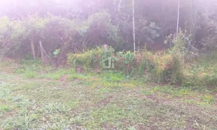 Chácara / sítio à venda no centro, morretes  por r$ 200.000