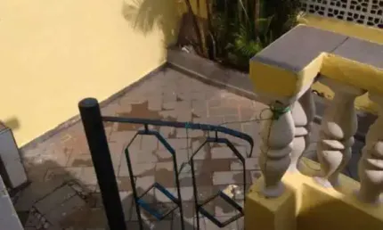 Casa Padrão para Venda em Vila Amália (Zona Norte) São Paulo-SP