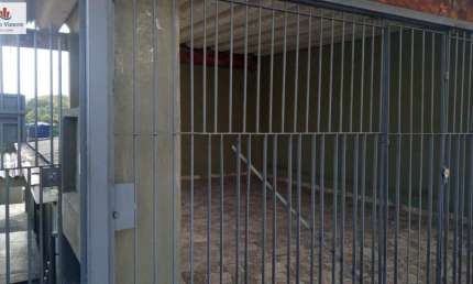Casa com 2 quartos à venda em Pirituba, São Paulo 