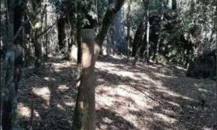 Terreno à venda no Laranjeiras, Caieiras 