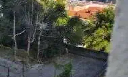 Apartamento à venda no bairro cachoeirinha - são paulo/sp, zona norte