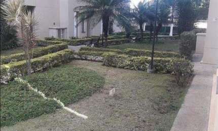 Apartamento Padrão para Venda em Vila Guilherme São Paulo-SP
