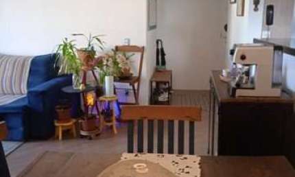 Apartamento Padrão para Venda em Vila Guilherme São Paulo-SP