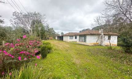 Chácara / Sítio / Fazenda - Venda - Mandirituba , Paraná