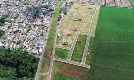 Terreno à venda no Parque Verde, Cascavel 