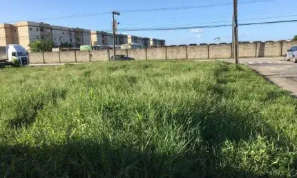 Terreno comercial para alugar na Avenida Ministro Luiz Gallotti, 364, Cidade Nova, Itajaí