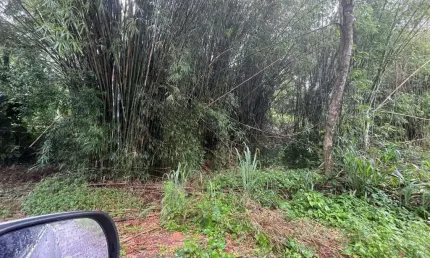 Terreno à venda, 384 m² por R$ 110.000,00 - Jardim Atlântico Oeste - Maricá/RJ