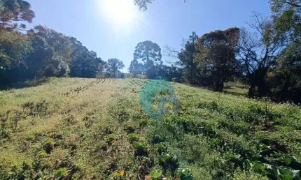 Chácara à venda, 19271 m² por r$ 699.000,00 - avencal - são josé dos pinhais/pr