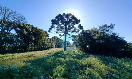 Terreno à venda, 19271 m² por r$ 699.000,00 - avencal - são josé dos pinhais/pr