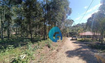 Chácara à venda, 2100 m² por R$ 185.000,00 - Roseira - Colombo/PR