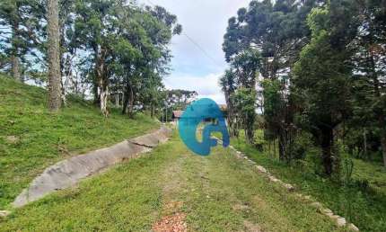 Chácara com 3 dormitórios à venda, 79358 m² por R$ 849.990,00 - Campo Alto - Tijucas do Sul/PR