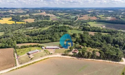 Chácara com 7 dormitórios à venda, 31000 m² por R$ 2.300.000,00 - Avencal - São José dos Pinhais/PR