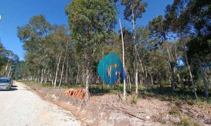 Terreno à venda, 2100 m² por R$ 184.990,00 - Roseira - Colombo/PR