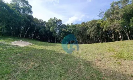 Chácara à venda, 20000 m² por R$ 598.990,00 - Zona Rural - Balsa Nova/PR