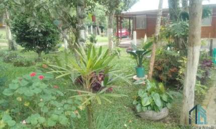 (PERMUTA) Chácara a venda c/ casa 04 quartos, em São José dos Pinhais PR