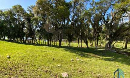 (PERMUTA) Chácara em Contenda PR, com 02 casas, estrada toda asfaltada a 20min, no Centro de Araucária.