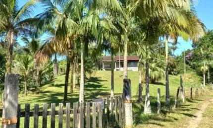 Chácara/Sítio, propriedade produtiva, 30 hectares com plantação de palmito pupunha, em Guaratuba PR