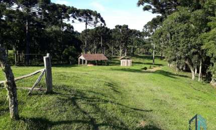 Chácara / sítio à venda na Br, Bugre, Balsa Nova