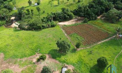 Fazenda localizada em Minaçu - GO a 70km da cidade de Goiânia - GO, com fácil acesso de carro.
